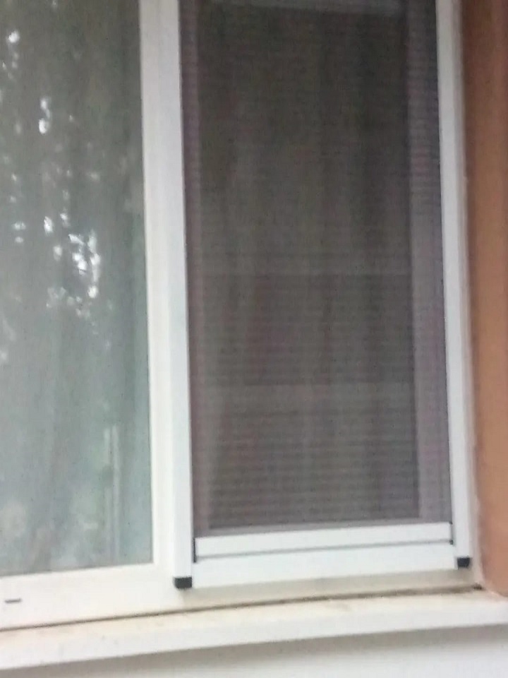 Hizmet Galerisi