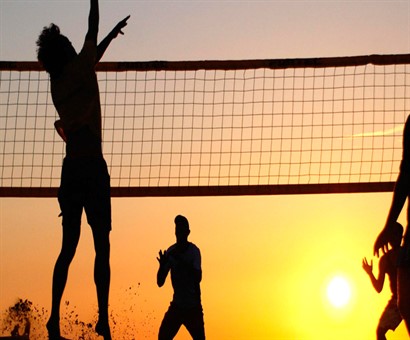 Voleybol Filesi